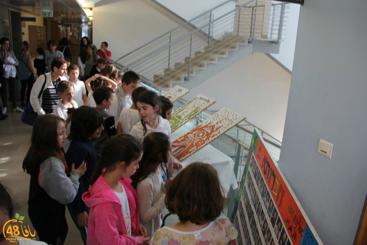 zhara2aj auqwea (18).jpg